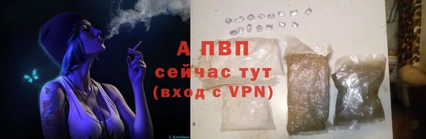 винт Алзамай